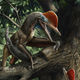 A paleoart rendition of what Kunpengopterus antipollicatus may have looked like.